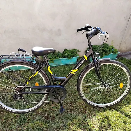 Hyper Centre A 250 M De La * Arcachon