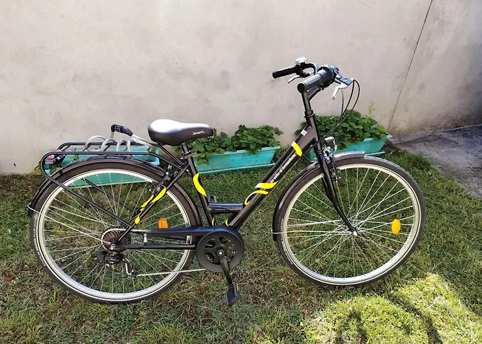 Hyper Centre A 250 M De La * Arcachon